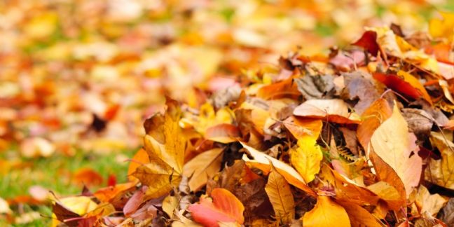 L'agenda des acheteurs en novembre 2015