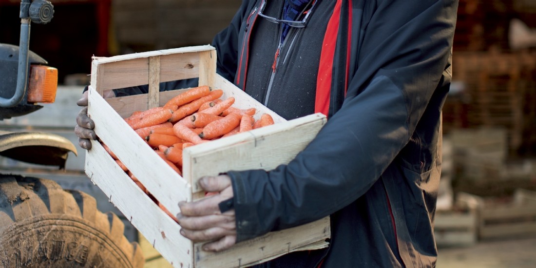 Ouifield : une plateforme achats pour le monde coopératif agricole