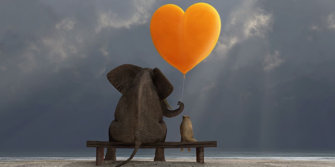 Grands comptes/Startups : des relations au beau fixe pour 72% des grands groupes