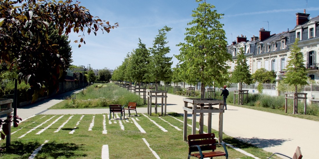 Les espaces verts : poumons des collectivités