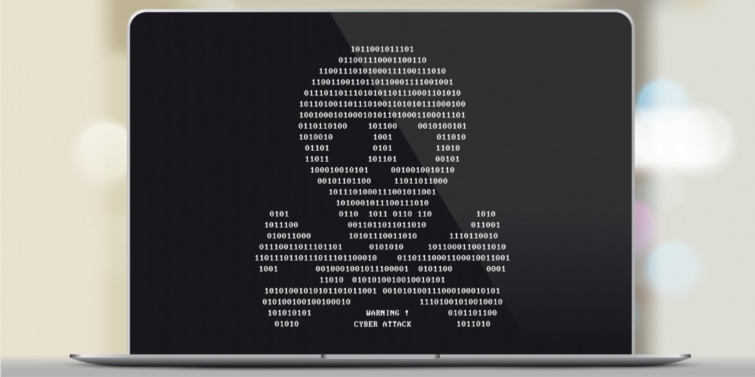 Cybercriminalité : comment y faire face ?