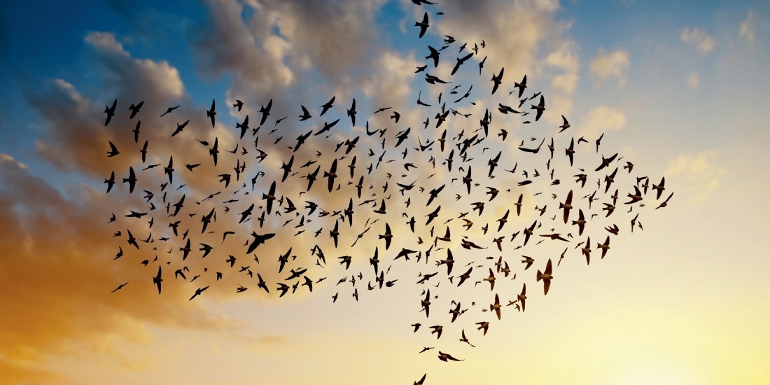 Cloud.... vers des migrations tous azimuts