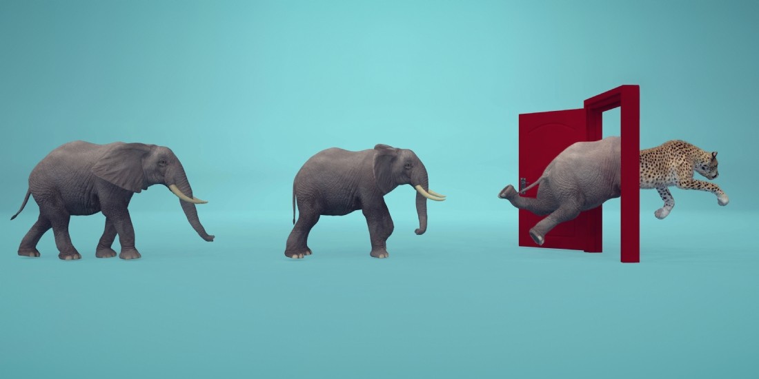 La conduite du changement, l'âme de la transformation digitale