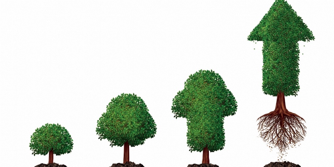 Les avantages économiques d'une chaîne d'approvisionnement durable