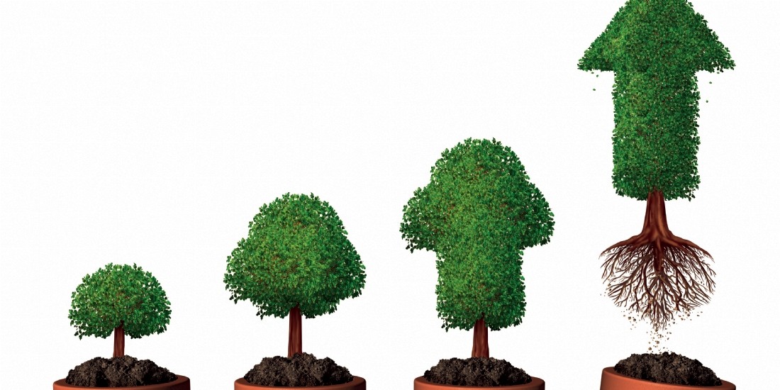 Les entrepôts logistiques signent 30 engagements environnementaux inédits avec l'État